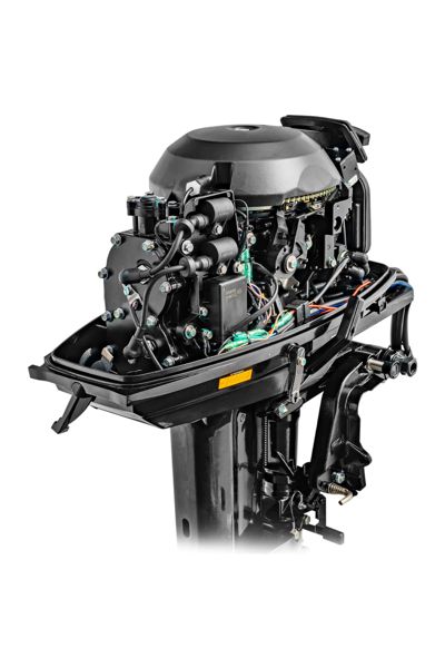 купить 2х-тактный лодочный мотор REEF RIDER RR30FFES в Москве - фото 