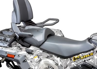 купить Квадроцикл СТЕЛС ATV 800 (TE) Guepard 2.0 K02 EPS Tech (2025) в Москве - фото 