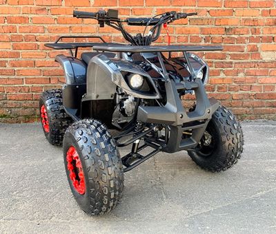 купить Квадроцикл MOWGLI Simple 8+ в Москве - фото 
