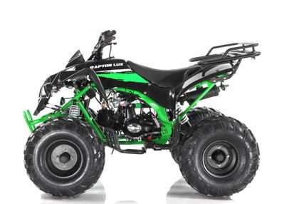 купить Квадроцикл MOTAX ATV Raptor-LUX 125 cc в Москве - фото 