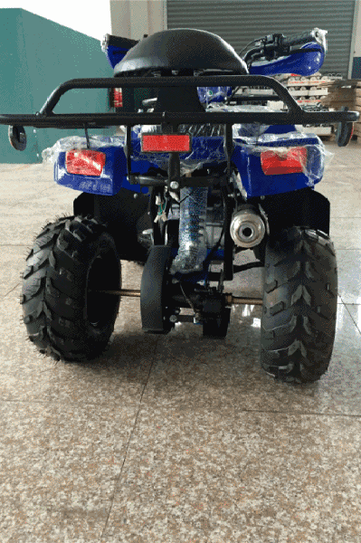 купить Квадроцикл ATV Atomik Sport в Москве - фото 