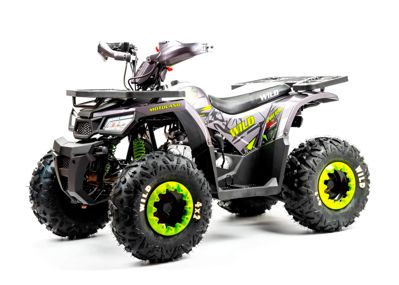 Квадроцикл MOTOLAND Wild Basic 125 в Москве