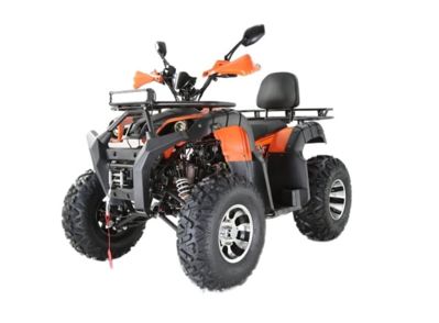 Квадроцикл YACOTA Sela 200 Max в Москве