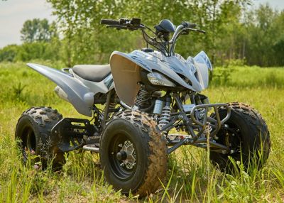 купить Квадроцикл SHARMAX Raizer Race Cup 250 в Москве - фото 