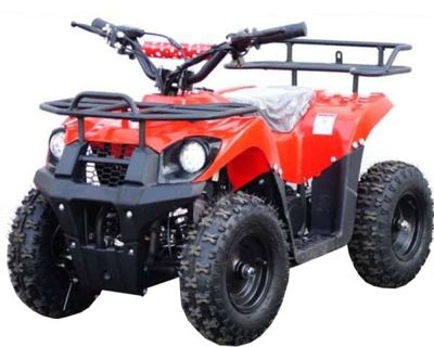 Квадроцикл STALKER 50 в Москве