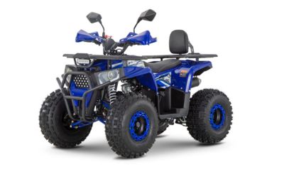 Квадроцикл WELS Thunder Trail 125 PRO в Москве
