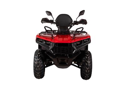 купить Квадроцикл BIZON YK200 Basic Carb в Москве - фото 