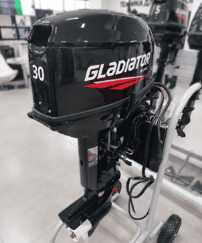 2х-тактный лодочный мотор ГЛАДИАТОР G30FES в Москве