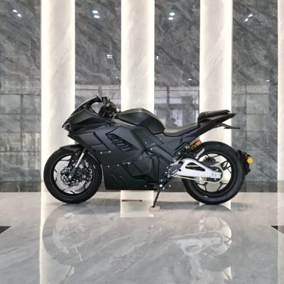 купить Электромотоцикл ECO Ducati Panigale S Black (5 кВт) в Москве - фото 