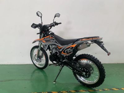 купить Мотоцикл JHL SX175 LX162FMJ PITBIKE в Москве - фото 