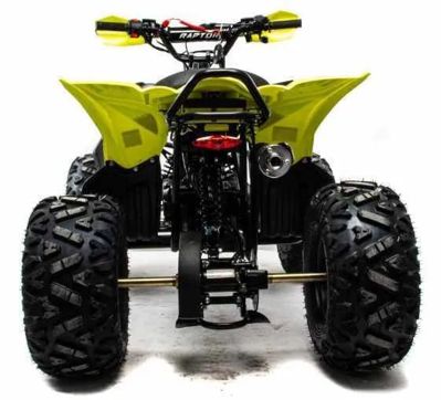 купить Квадроцикл MOTOLAND 125 Raptor в Москве - фото 