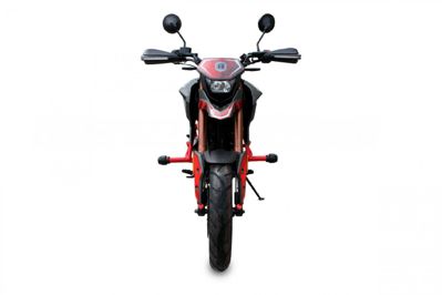 купить Мотоцикл ROCKOT Hound 250 LUX ТУРЭНДУРО в Москве - фото 