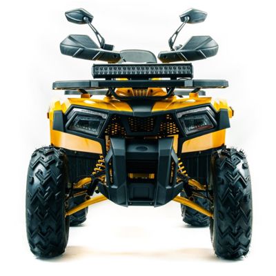 купить Квадроцикл MOTOLAND 200 Wild Track X Pro (Баланс. вал) (2021 Г.) в Москве - фото 