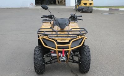 купить Квадроцикл IRBIS ATV 250 Premium в Москве - фото 