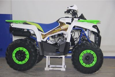 купить Квадроцикл AVANTIS Forester 200 Premium в Москве - фото 