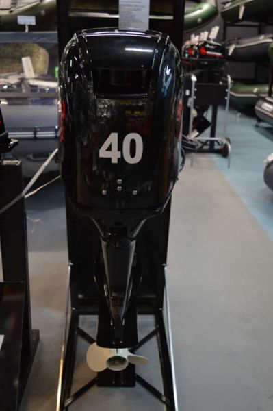 купить 4х-тактный лодочный мотор GOLFSTREAM F40FEL-T EFI в Москве - фото 