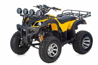 купить Квадроцикл RAPTOR Max Pro 250 (жёлтый/чёрный) (2024) в Москве - фото 