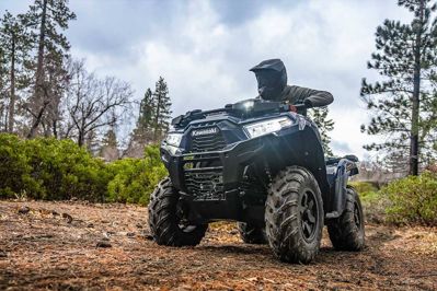 купить Квадроцикл KAWASAKI Brute Force 750 EPS (2024) (ПСМ) в Москве - фото 