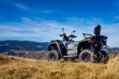 купить Квадроцикл TGB Blade 600 LTX EPS (ПСМ) в Москве - фото 