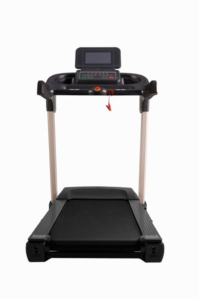 купить Беговая дорожка Watson Dynamics Pro 200 LCD в Москве - фото 