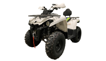 Квадроцикл MOTOLAND Shark 200 в Москве