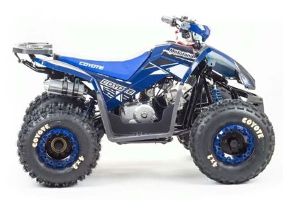 купить Квадроцикл MOTOLAND 125 Coyote (2021 Г.) в Москве - фото 