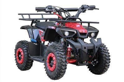 купить Квадроцикл Avantis Сlаssiс Mini 4T в Москве - фото 