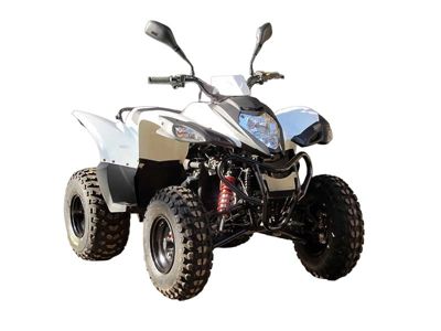 купить Квадроцикл ADLY ATV-150S в Москве - фото 