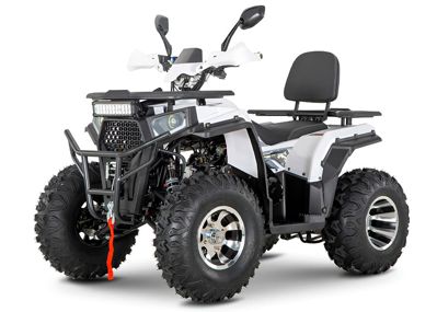 Квадроцикл YACOTA Viking 200 PRO в Москве