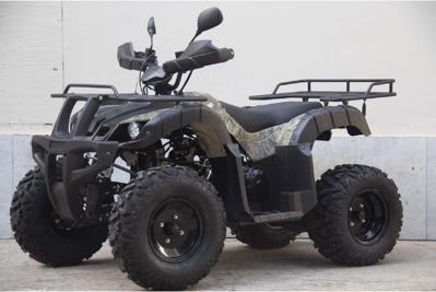 купить Квадроцикл UNIVERSAL Avenger JR 200 в Москве - фото 