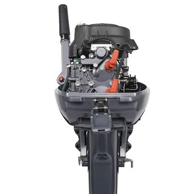 купить 2х-тактный лодочный мотор ALLFA CG T9.9 BWS в Москве - фото 