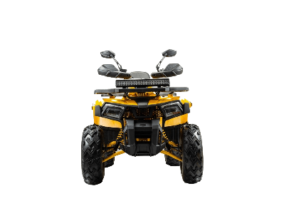 купить Квадроцикл BISON Track X PRO в Москве - фото 