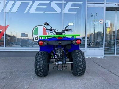 купить Квадроцикл IRIDE 200 ROVER в Москве - фото 