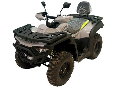 купить Квадроцикл BASHAN Explorer 300 Basic в Москве - фото 