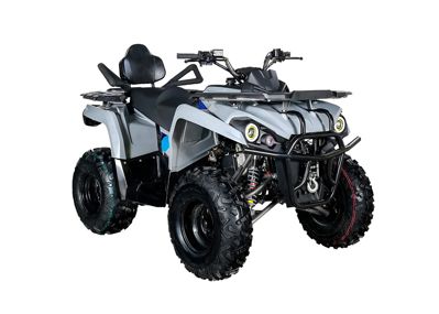 купить Квадроцикл AVANTIS Forester Long 200 Premium в Москве - фото 