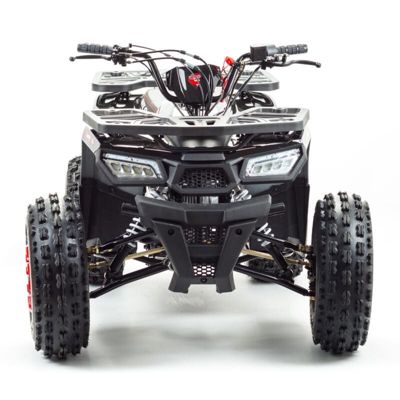 купить Квадроцикл MOTOLAND Wild 150 в Москве - фото 