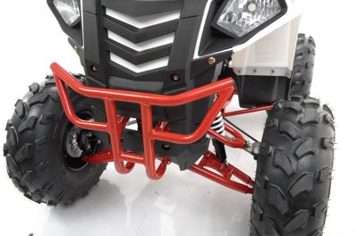 купить Квадроцикл MOTAX Grizlik A125 в Москве - фото 