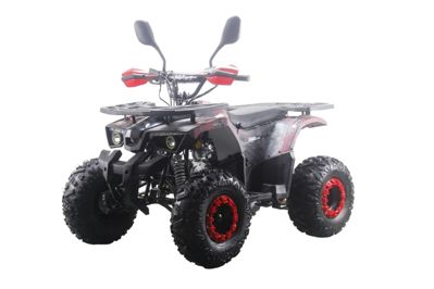 купить Квадроцикл MOTAX ATV Grizlik Premium 125cc в Москве - фото 