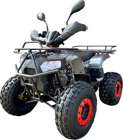 Квадроцикл MOWGLI Bold 8+ в Москве