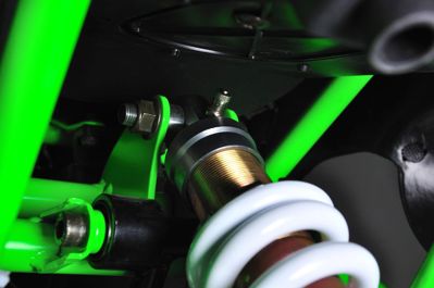 купить Квадроцикл MIKILON Rapide 200 EFI в Москве - фото 