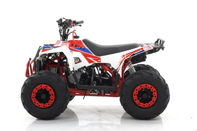 купить Квадроцикл MOTAX Grizlik A110 в Москве - фото 