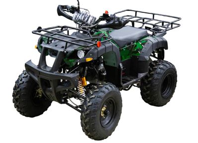 купить Квадроцикл UNIVERSAL ATV 200 TM Bull plus в Москве - фото 