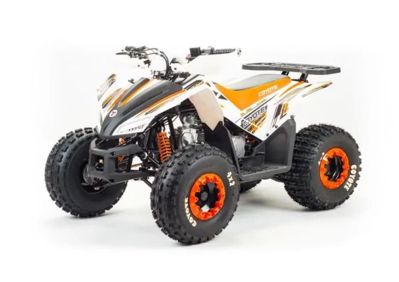 купить Квадроцикл MOTOLAND 125 Coyote (2021 Г.) в Москве - фото 