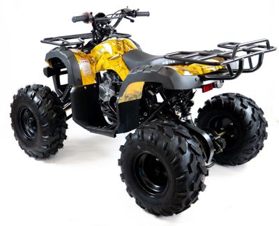 купить Квадроцикл MOTAX ATV Grizlik-8 125 в Москве - фото 