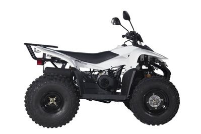 купить Квадроцикл BALTMOTORS Jam 100 в Москве - фото 