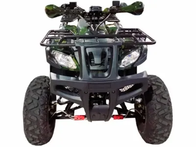 купить Квадроцикл WELS Thunder 200 в Москве - фото 