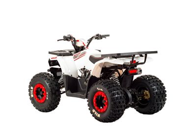 купить Квадроцикл MOTOLAND 125 Wild в Москве - фото 