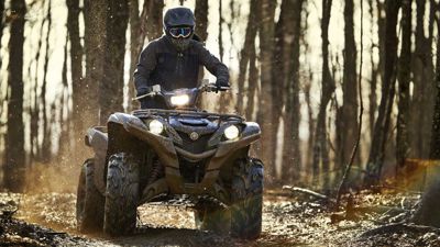 купить Квадроцикл YAMAHA Grizzly 700 EPS STD (ПСМ) в Москве - фото 