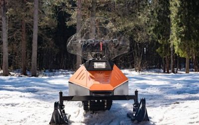 купить Мини-снегоход БУРЛАК Егерь FOX-L 15 л.с. в Москве - фото 