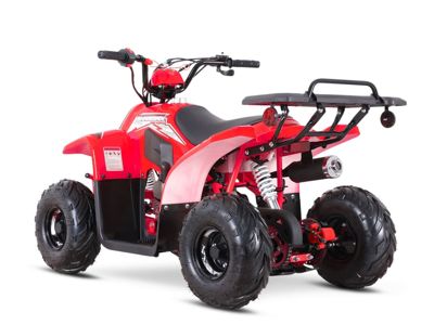 купить Квадроцикл SHARMAX 130 Cross в Москве - фото 